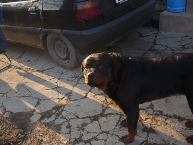 fotky 030.jpg