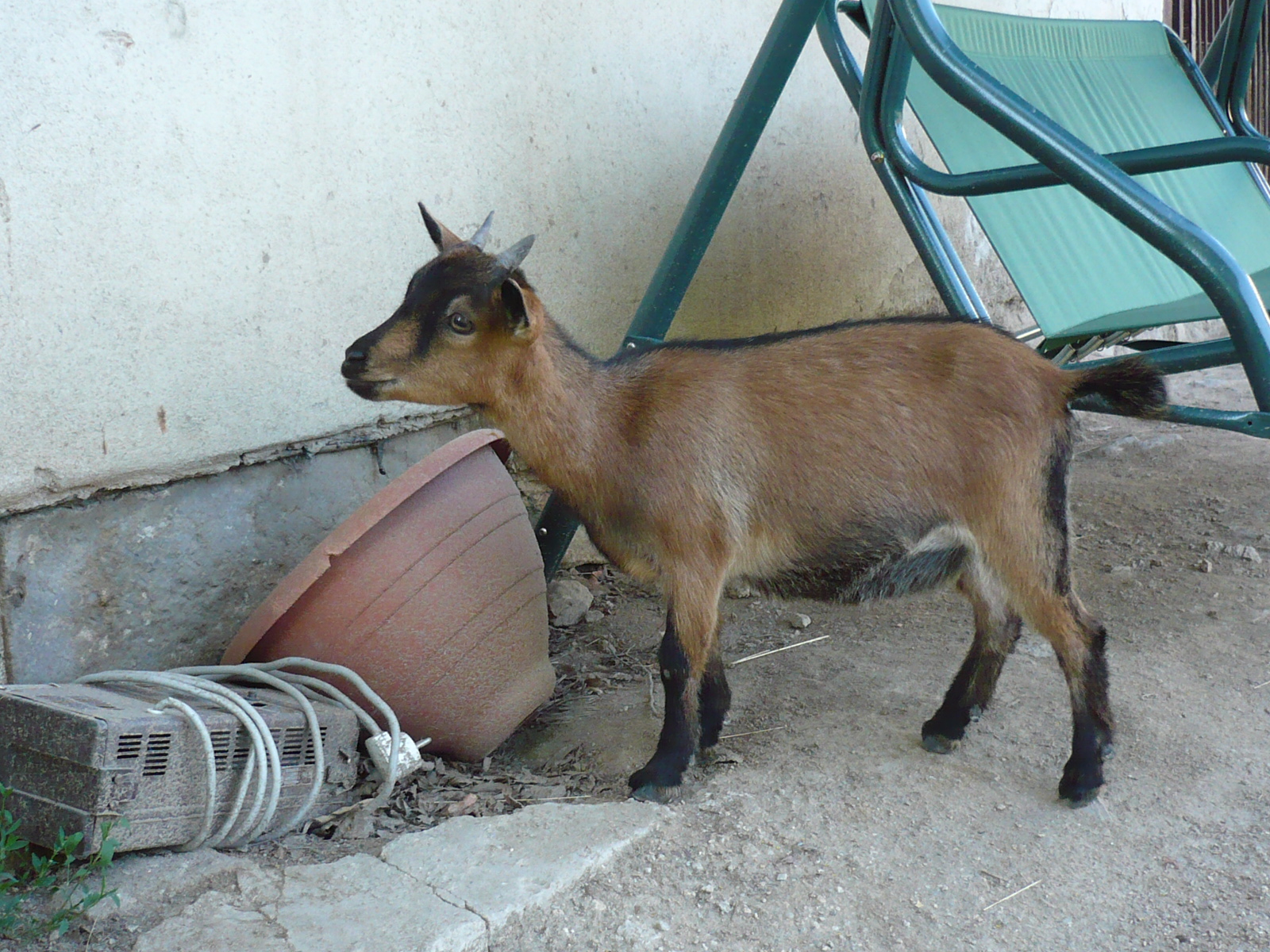 P1010049.JPG