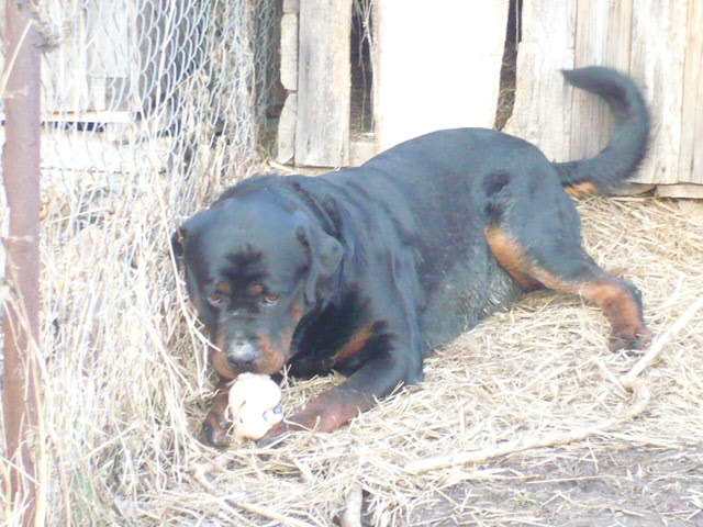 fotky 026.jpg