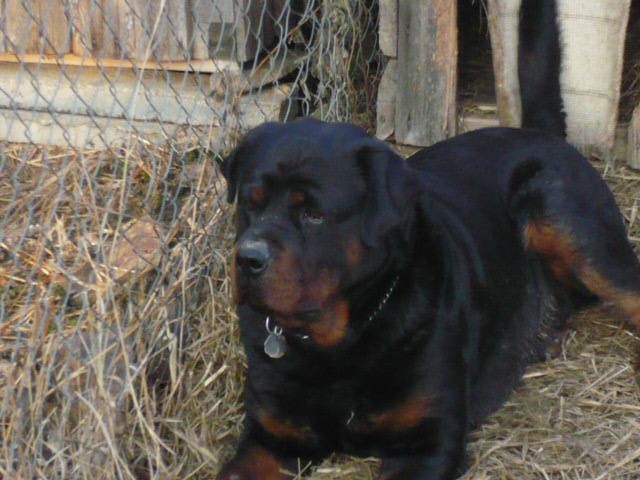 fotky 029.jpg