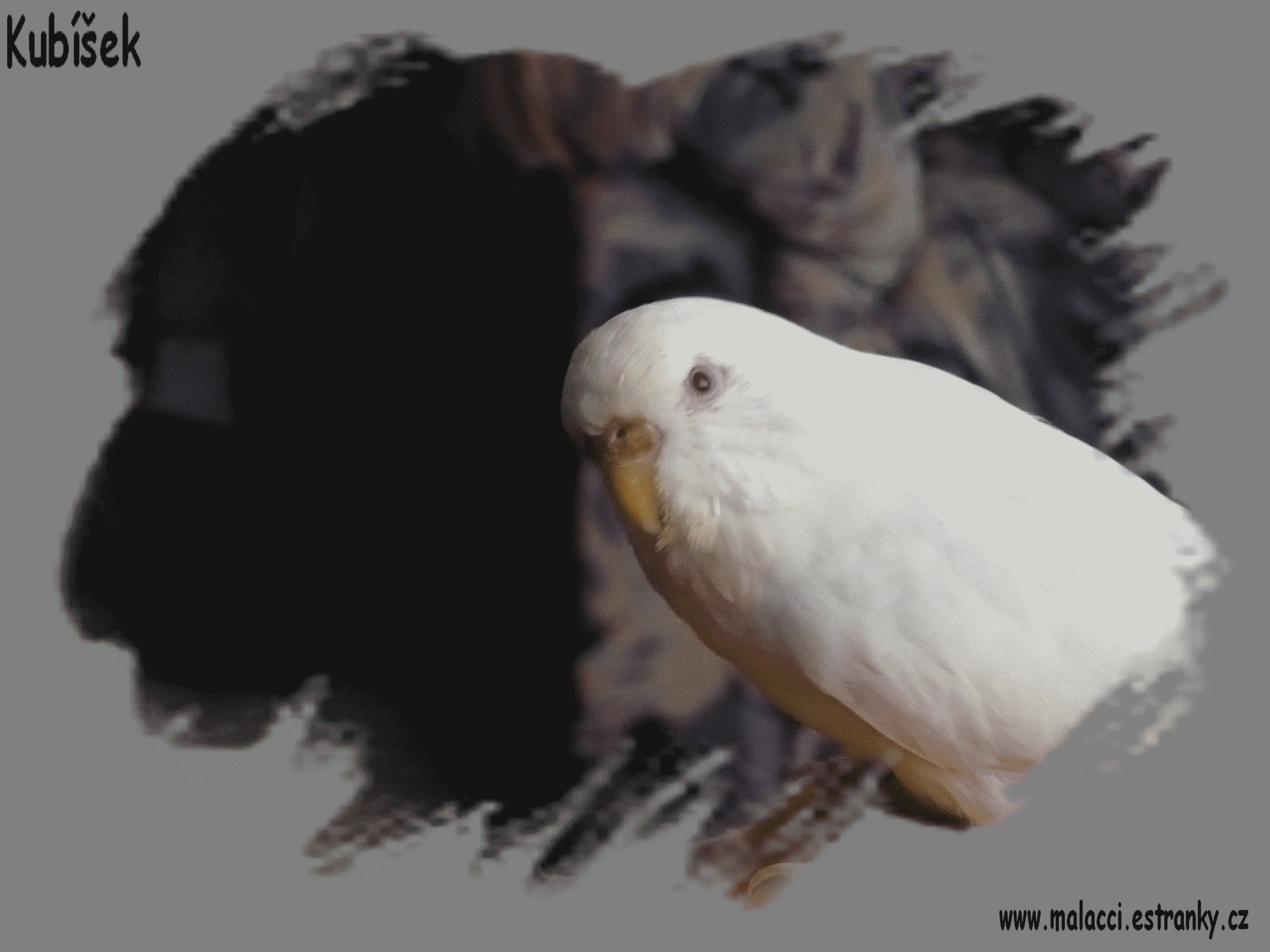 fotky 019.jpg